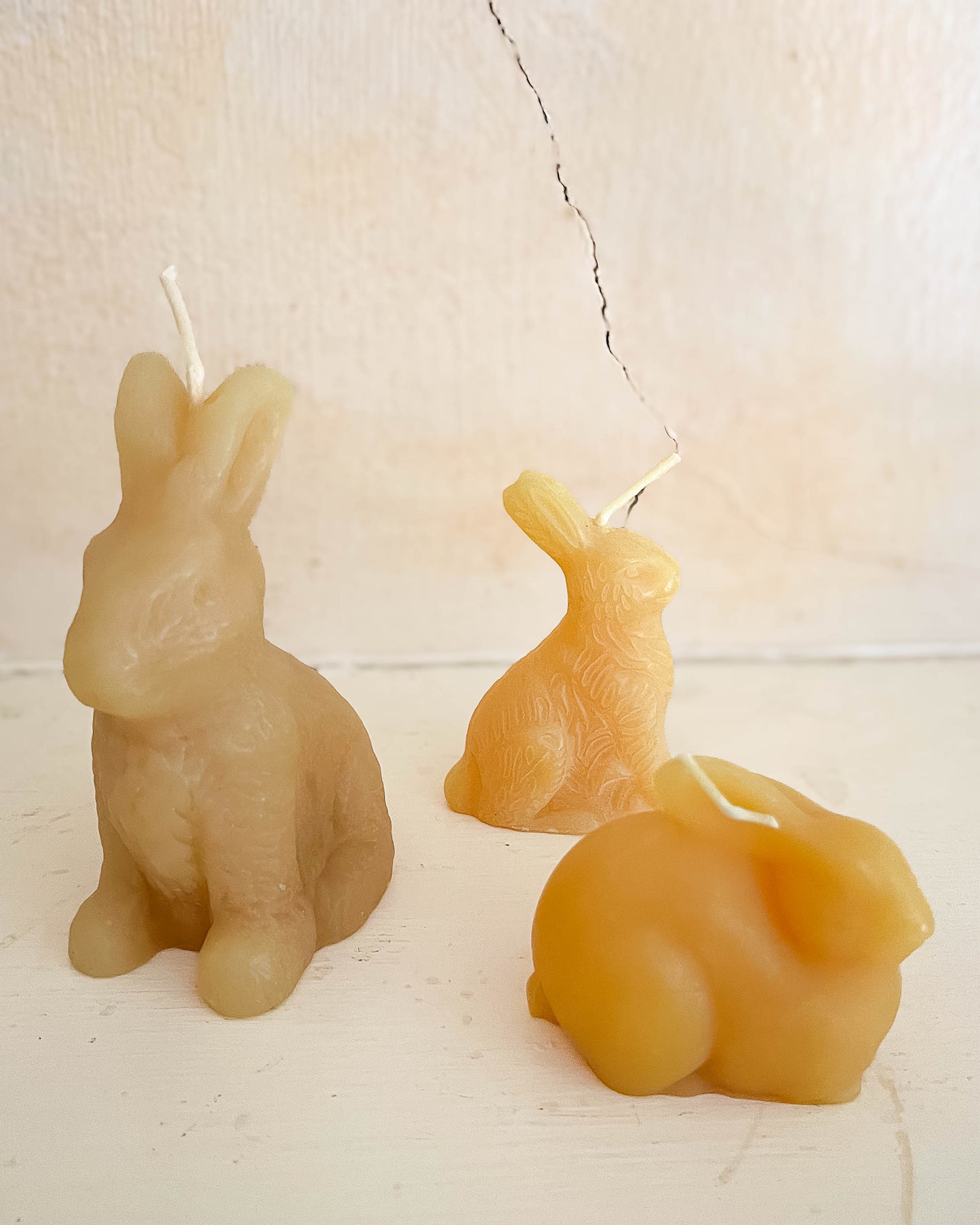Bunnies