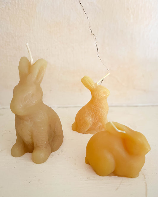 Bunnies