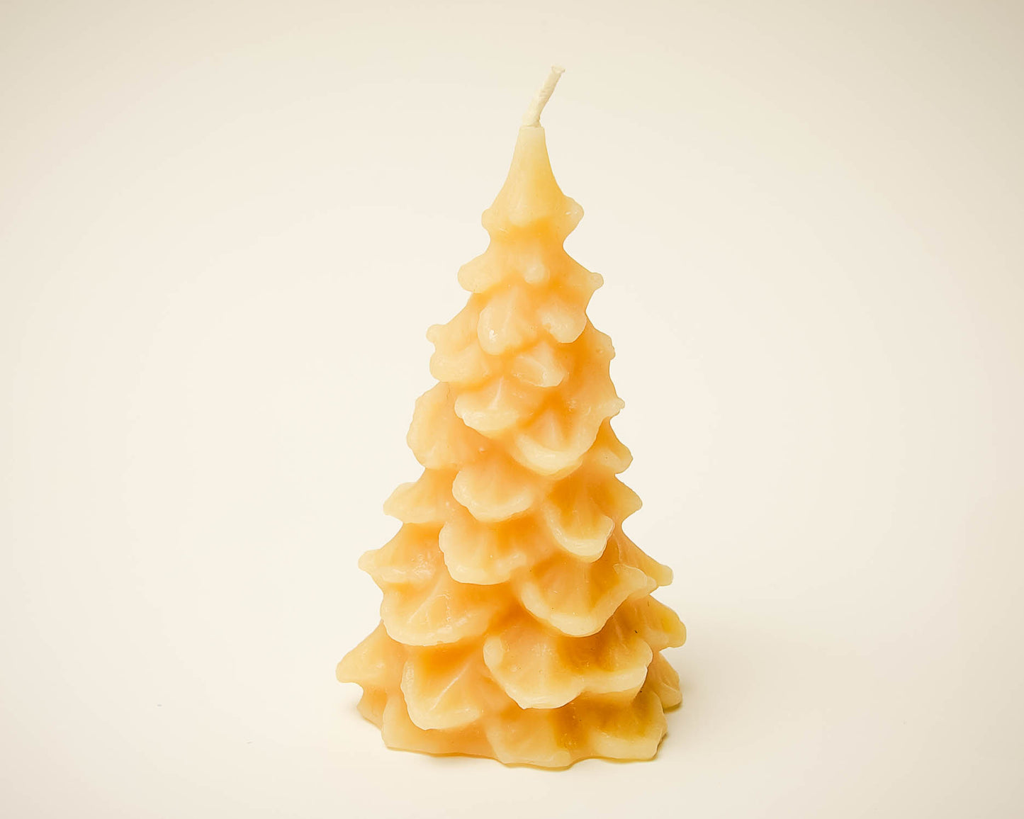 Pine Trees