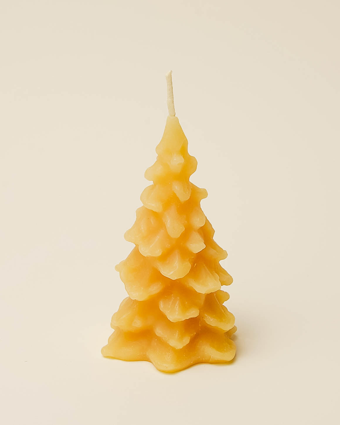 Pine Trees